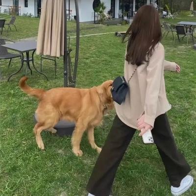 湾生回家